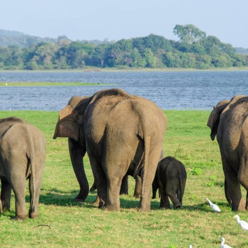 150220_62a2f3c48e782