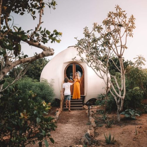 240742627_163358505926974_2314407784475237173_n