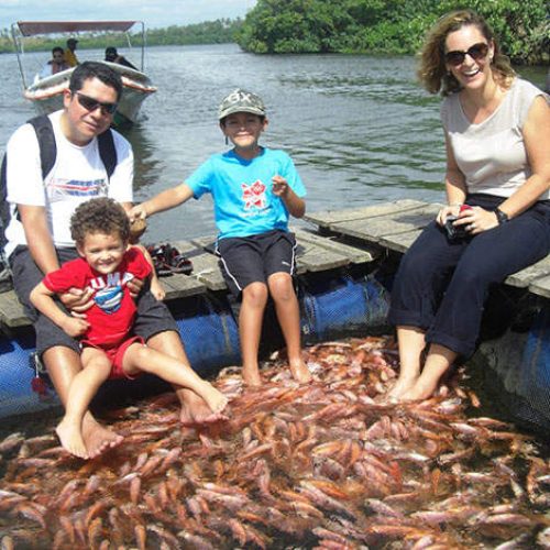 MaduRiverBoatSafari,FishTherapyVisittoSacredBuddhistSite