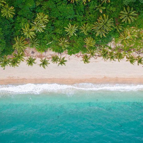 desktop-wallpaper-coast-palm-trees-ocean-water-beach-for-chromebook-pixel
